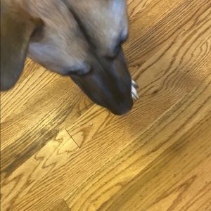 Meet your Posher, Katelyn